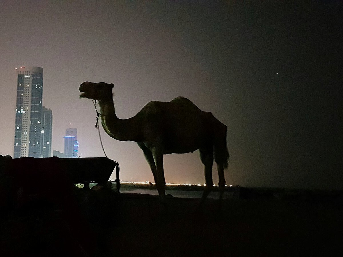 مهرة
